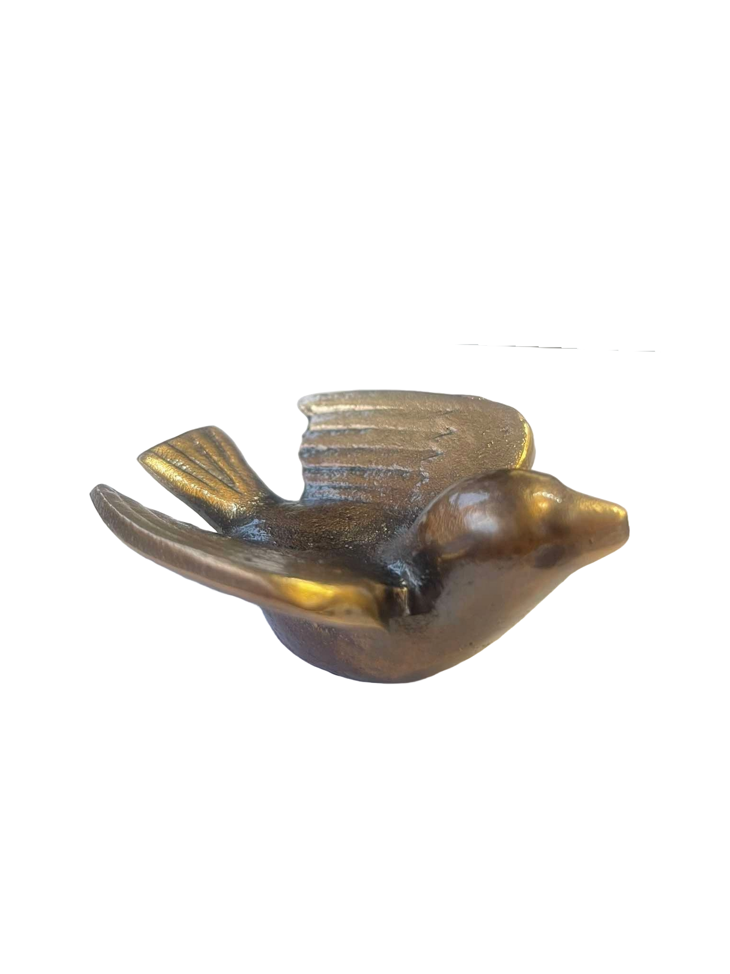 Fugl 6