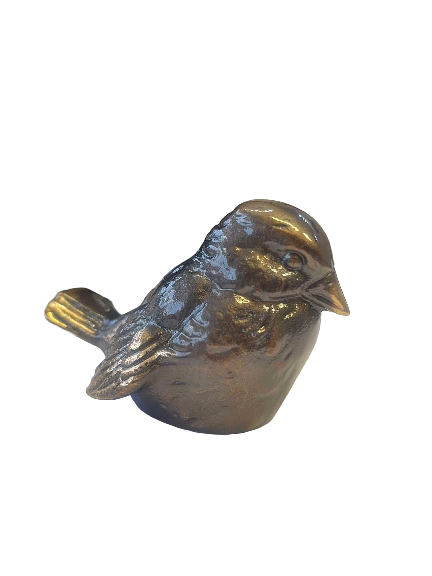 Kopar Þröstur 1