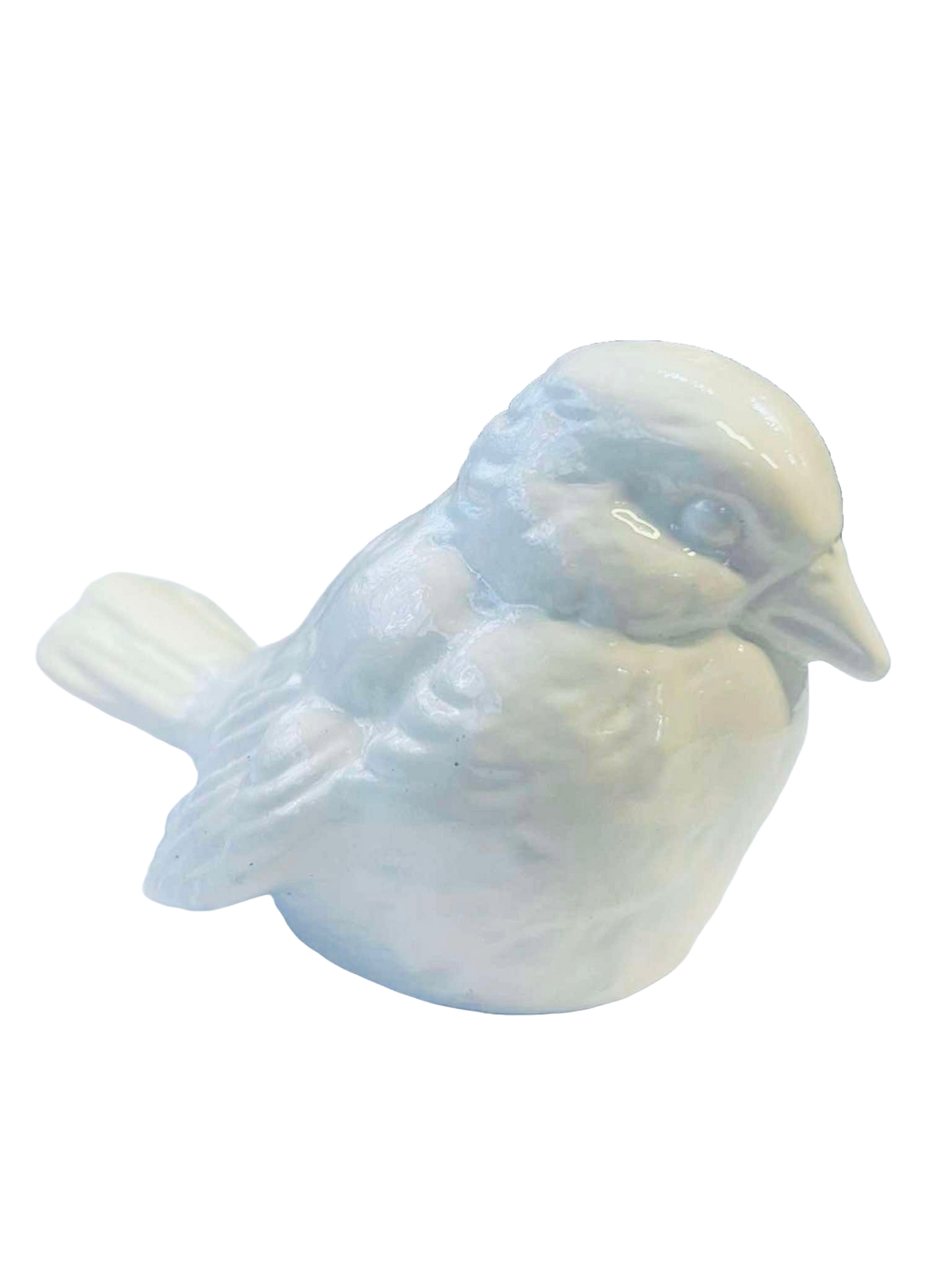 Hvítur þröstur 2